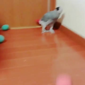 A ball through the legs