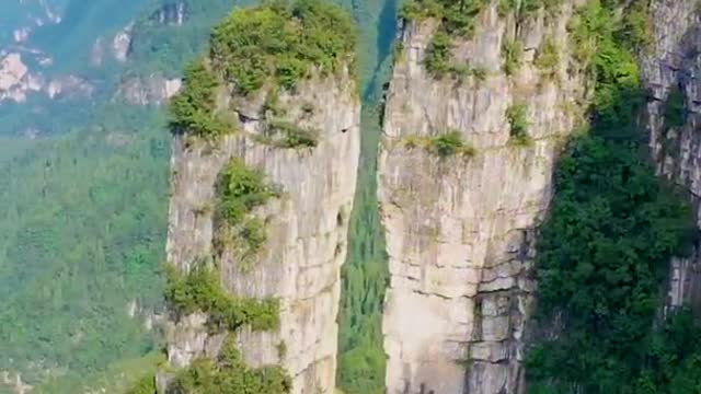 Nature china