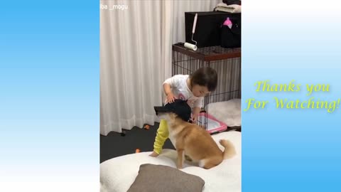 Pets that you want. Cute and Adorable