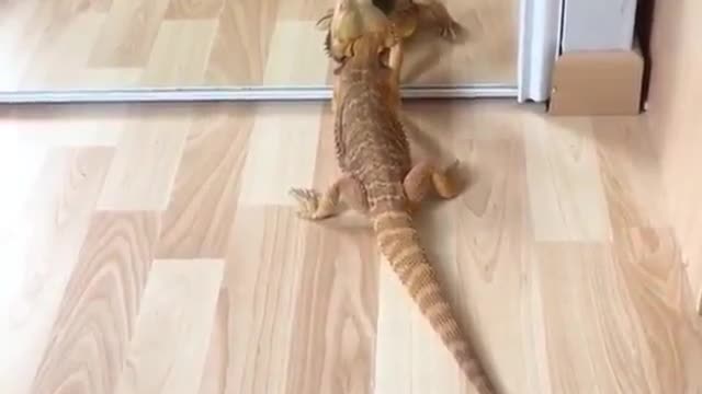 Uuuaaallll como você é bonitão!!!!
