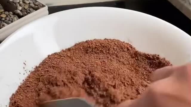 Chocolate swuisrol cake