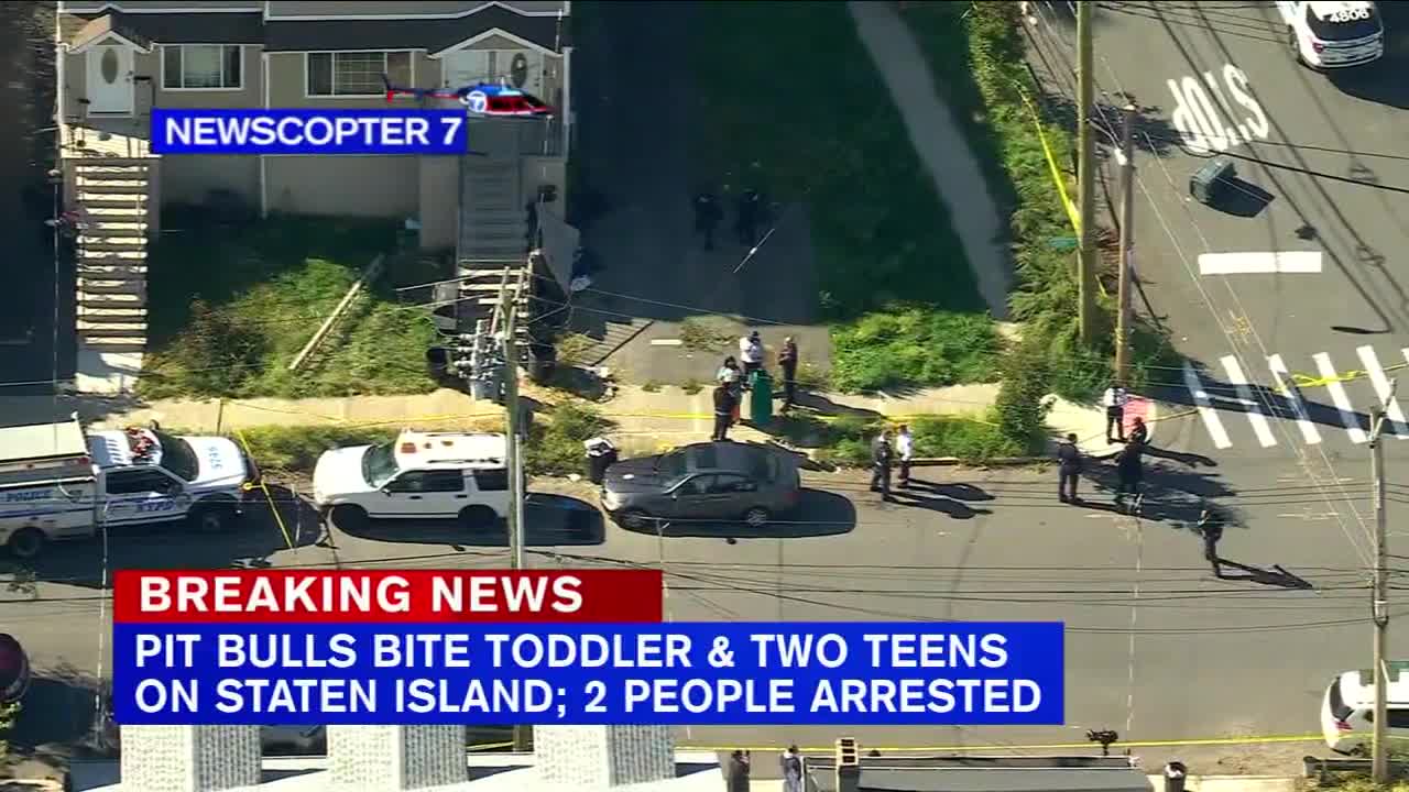 2 teens, toddler attacked by pit bulls on Staten Island