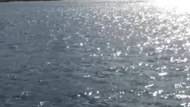 Underwater Scooter Submarine Tour