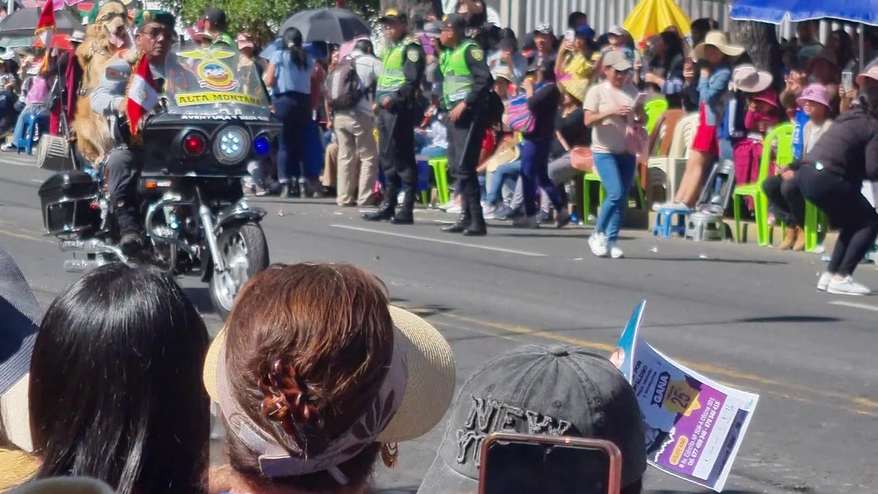 Golden Retriever Gets Big Applause in Parade