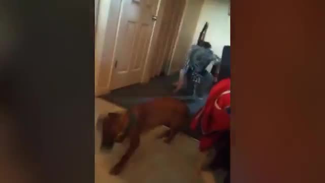 Funny dog scared 2021