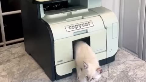 Copier machine
