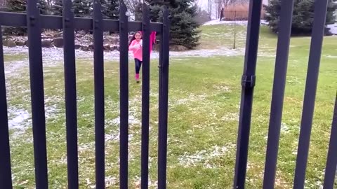 Heidi dan Zidane - cerita tentang monyet jahat