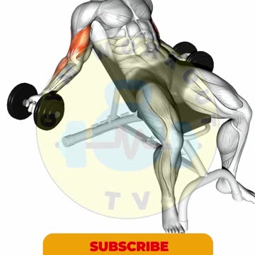 Gym Bicep Workout #bicep #shorts #bicepsworkout #gymworkout