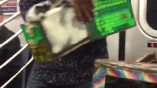 Guy in black shirt pulls bunny from box