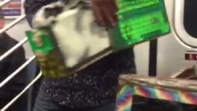 Guy in black shirt pulls bunny from box