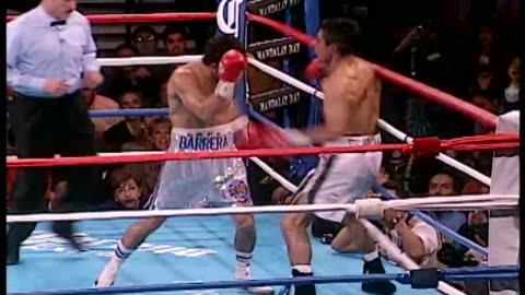 The Legend Boxing