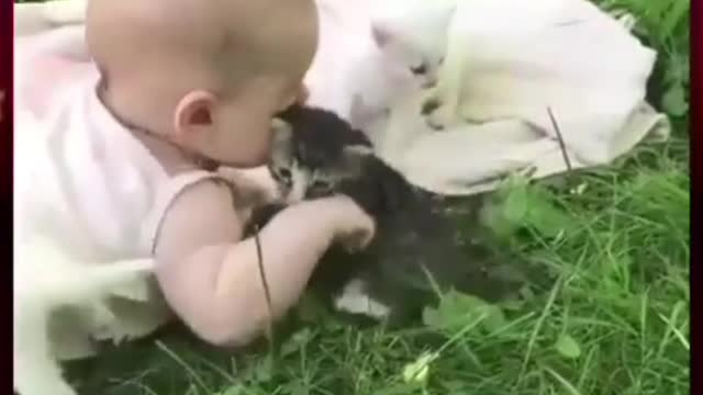 CATS AND BABIES ARE BEST FRIENDS💕❣🐈‍⬛👶 💓❣BEST VIDEOS😅