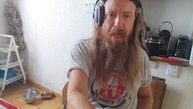 2022-08-11 (4) - Alerte expatriation - Twitch Triskelina