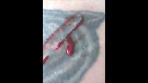 tat kitty blood video