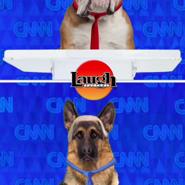 2024 Presidential Debate by Dogs