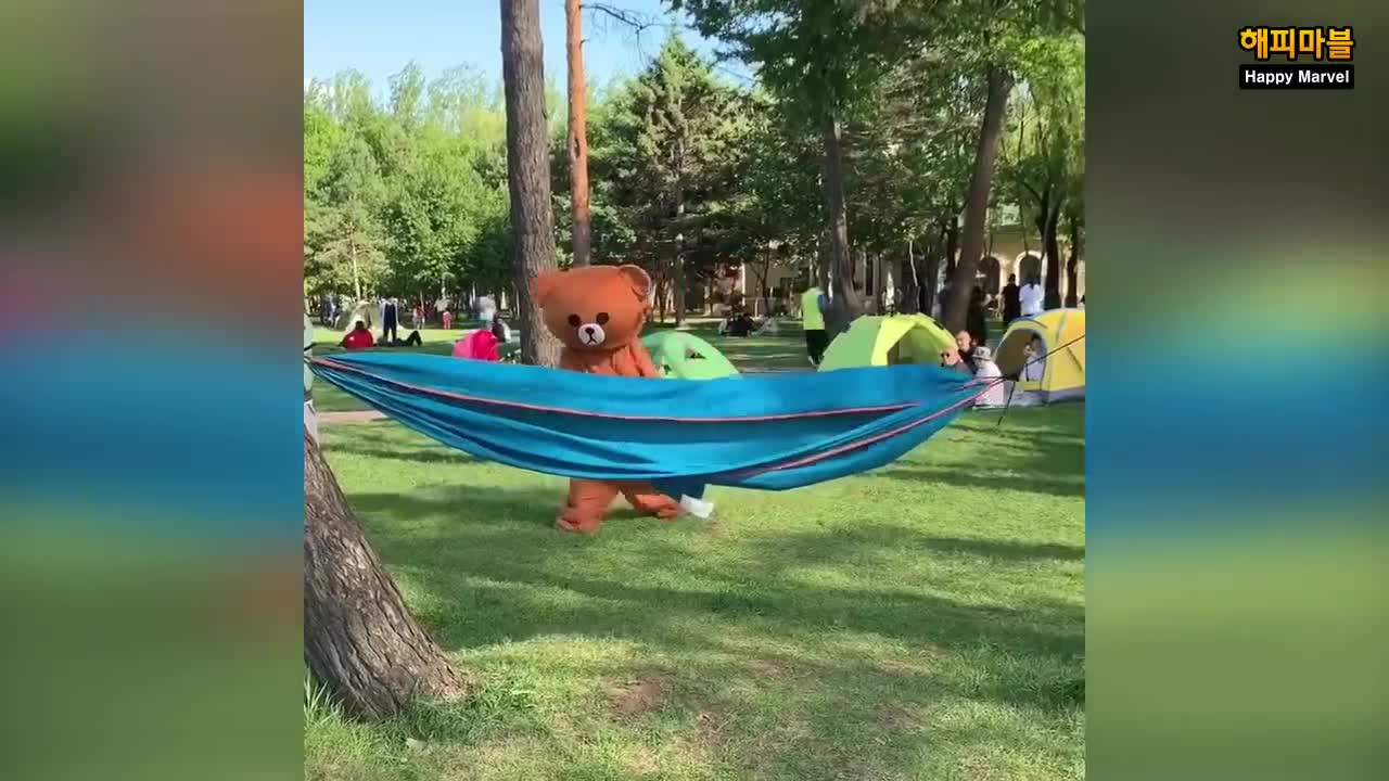 A collection of funny videos #08