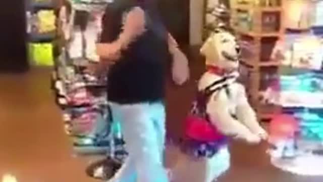 Fun with the dancing dog