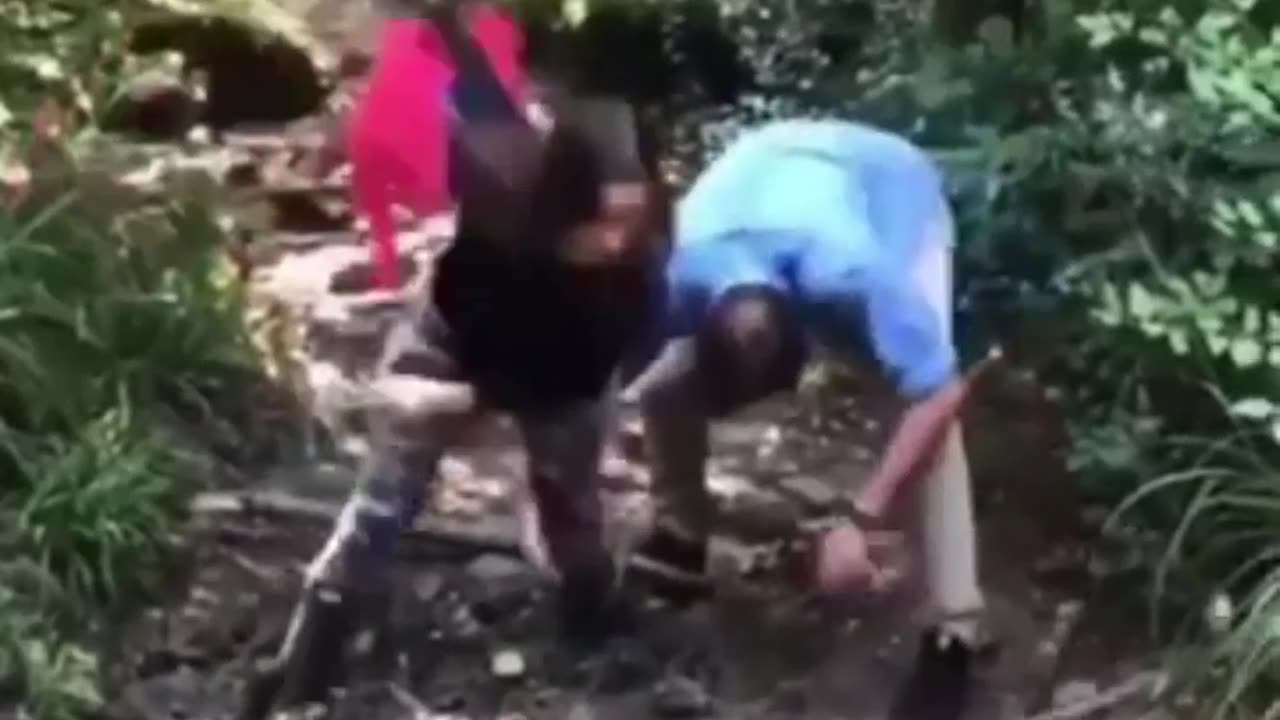 "Viral Funny Fail Video Compilation: Rolling in Bed, Jumping in Chair, Fighting with Bear"