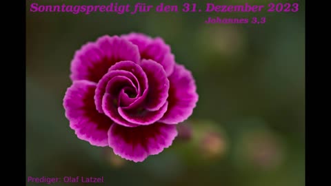 Sonntagspredigt für den 31. Dezember 2023