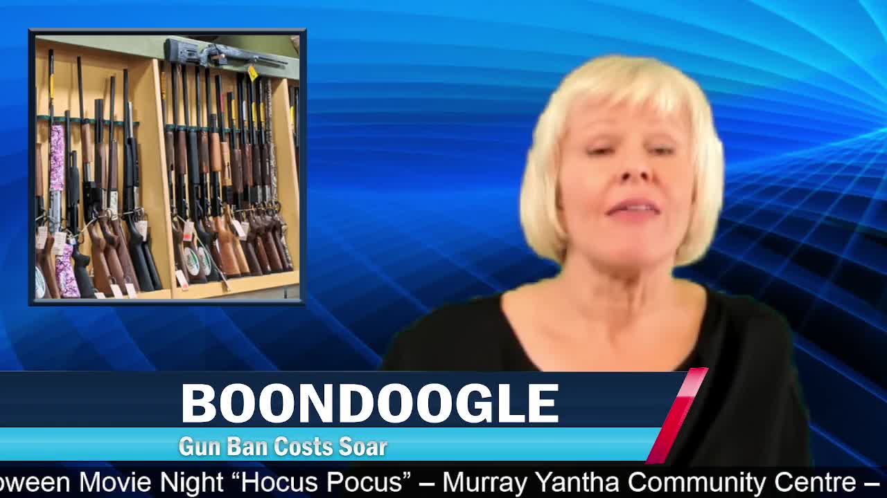 Cheryl Gallant- Boondoogle