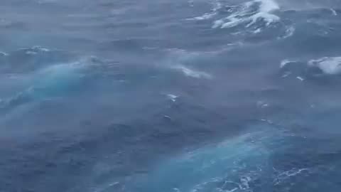 Nothing on this earth fascinates or frightens me like the ocean.