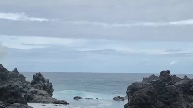 surprise while photographing the sea