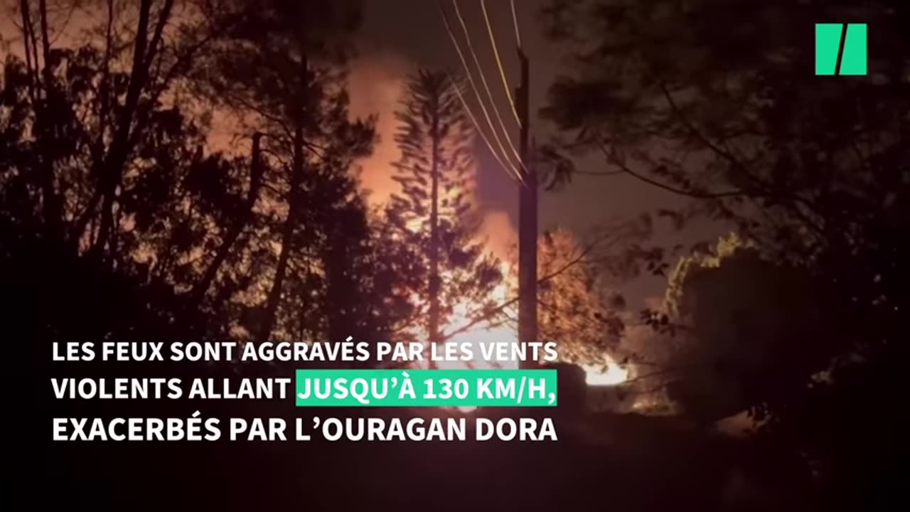 Les incendies dévastent les forêts du globe