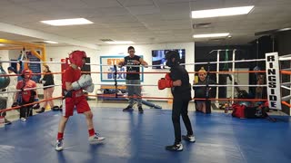 Joey boxing Dylan 2. 4/12/22