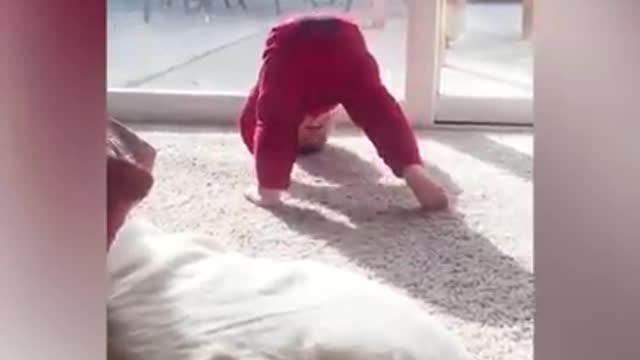 Babies play & fall but funny