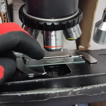 What’s Really Inside Doritos?