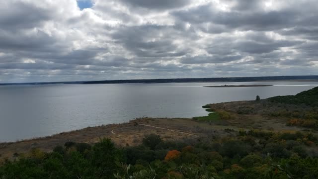 Birds over the Lake