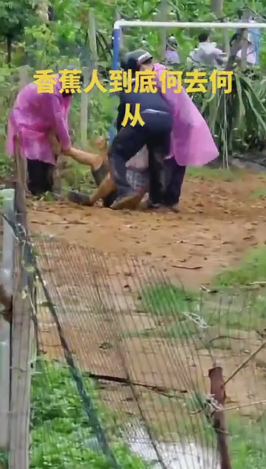 Disse Mario Draghi : dobbiamo adottare il modello Cinese , morti viventi 🐒☠️