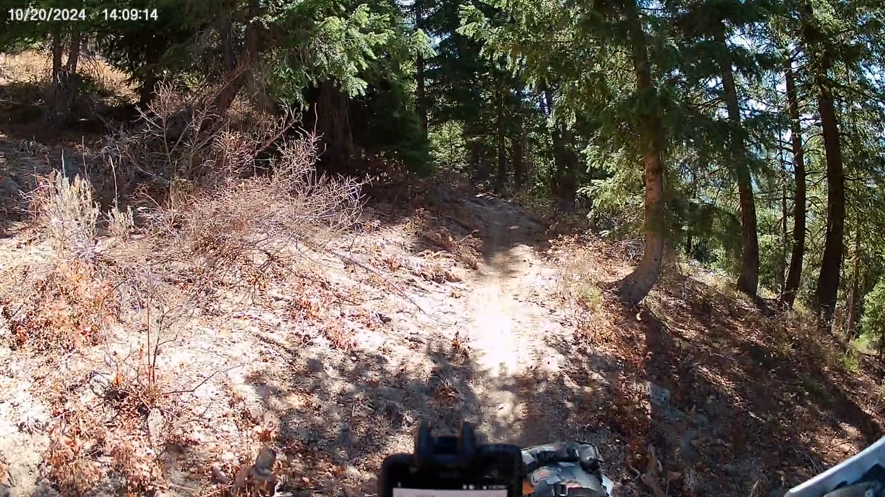 10-20-24 Idaho City Hungarian Ridge trail. Never ending hill climb