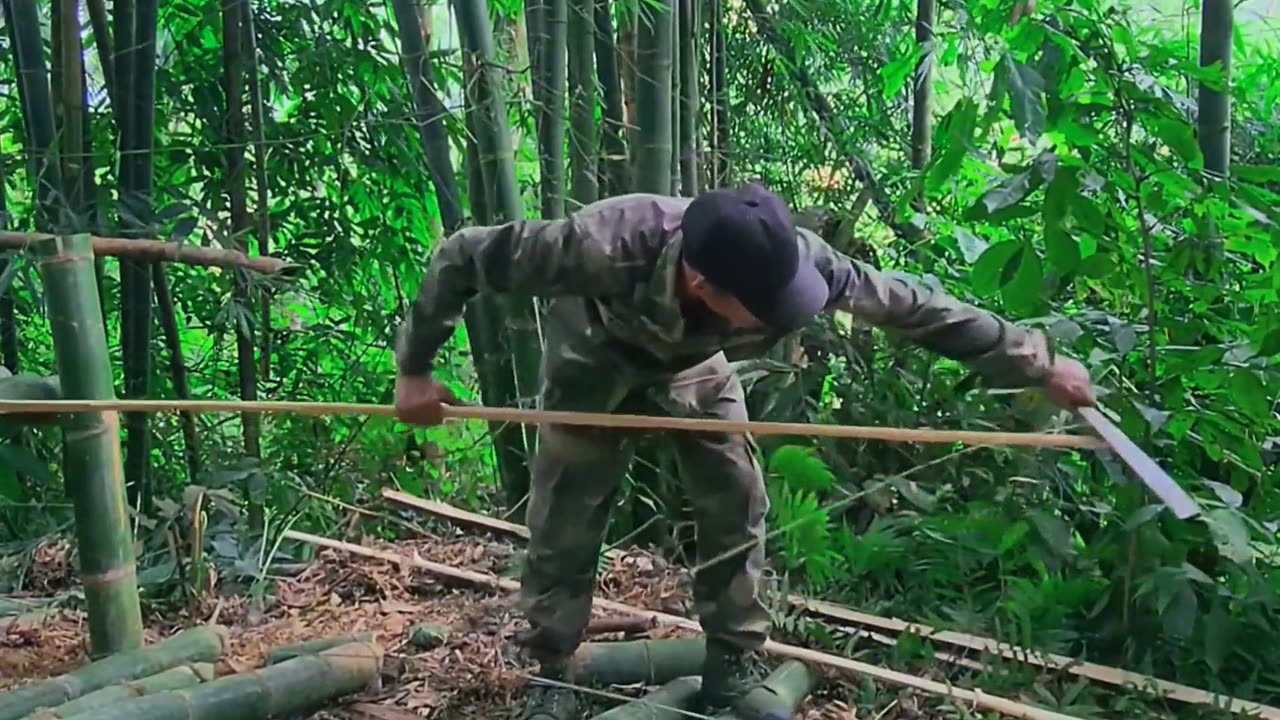 How to make camp with bamboo