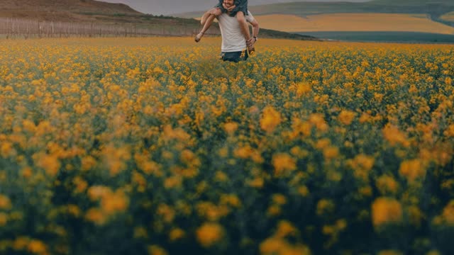 Flowery fields