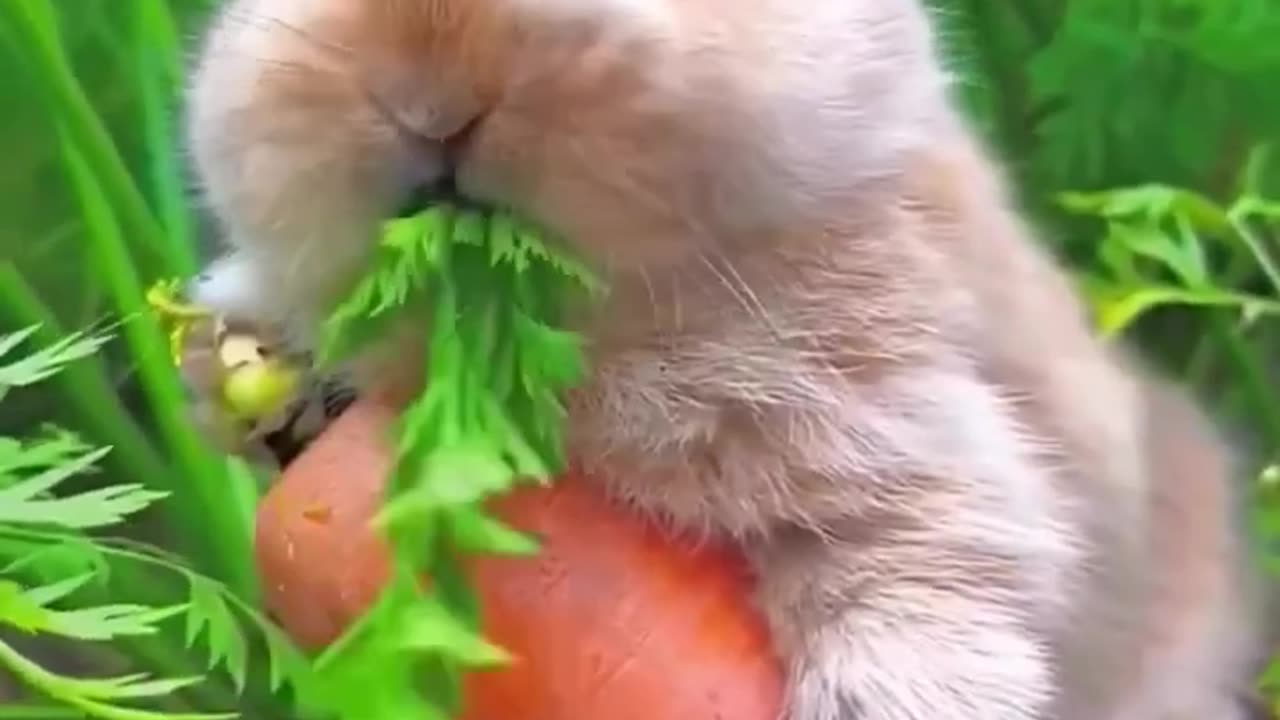 Lindo animal con frutas de zanahoria