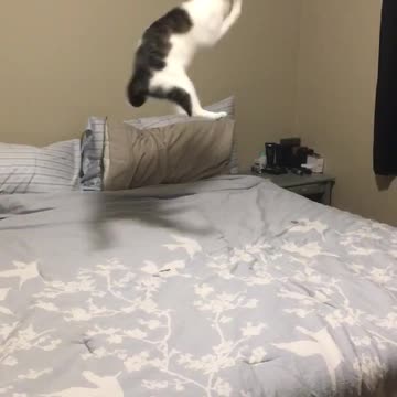 Sky high for puzzle pieces