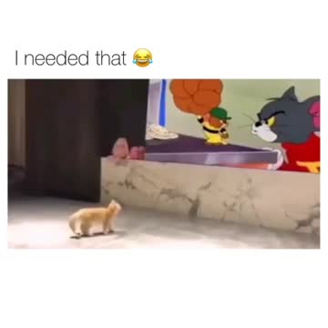 jerry lett the cat startle