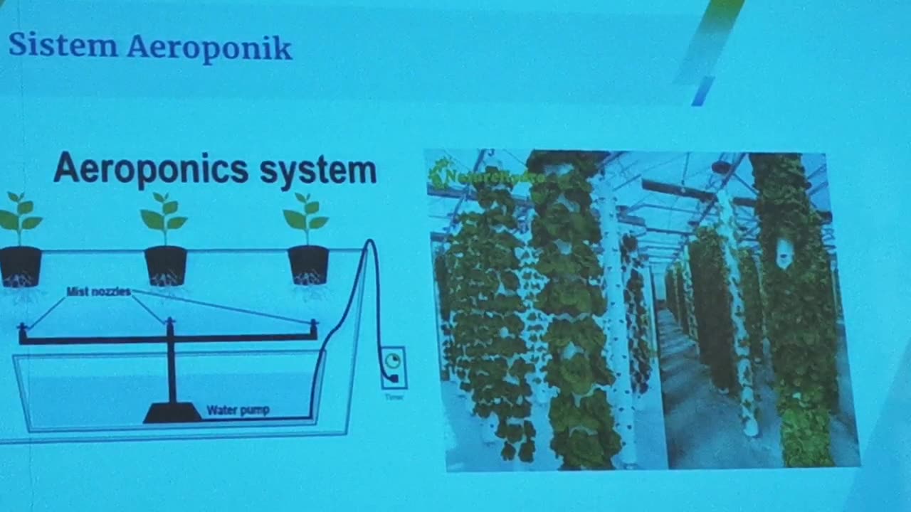 P04 Hydroponics / Hidroponik @ Meru Klang, 23 Jul 2024