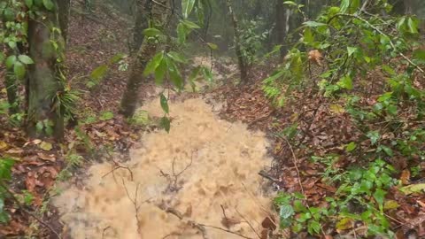 Hiking during heavy rain