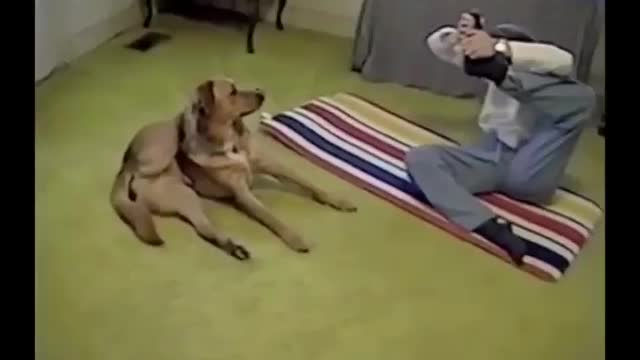 Dog doing yoga