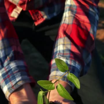 036 In numerology, Life Path 29 slash 11 is a journey of spiritual awakening