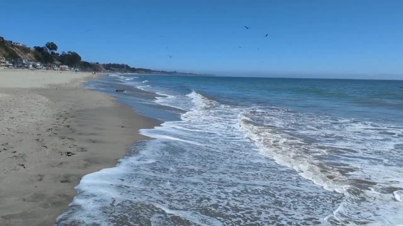 Walk on the beach