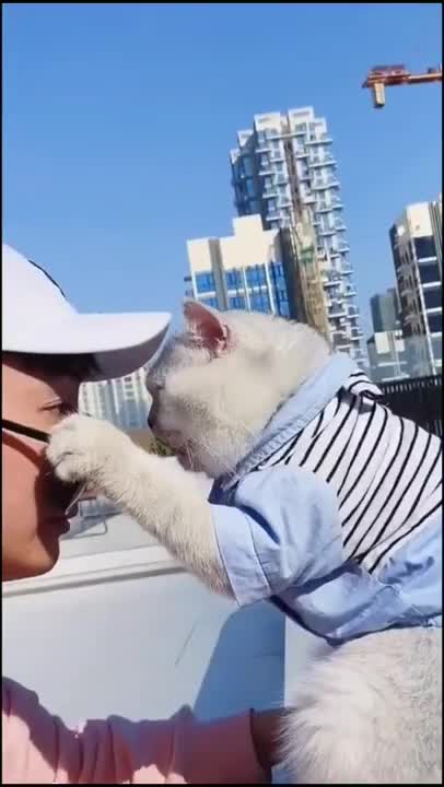 #Cat, #Cute, & #Boy (nice video)