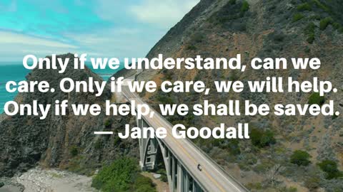 INSPIRATIONAL QUOTES TO GET MOTIVATED | MOTIVATIONAL QUOTES