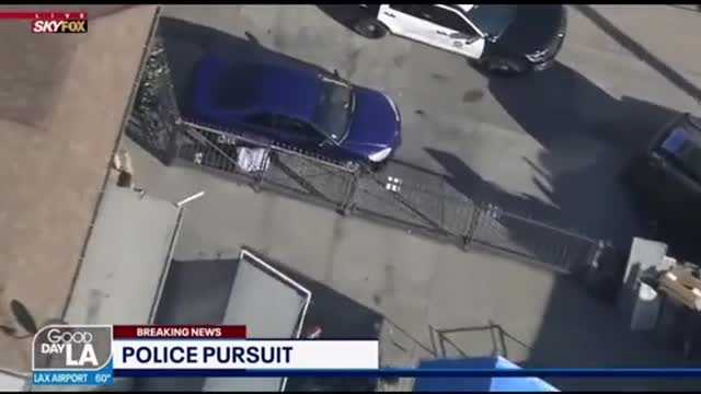 These cops must not have played Hide And Seek much! LOL