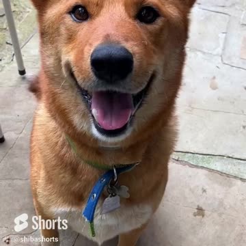 slo mo to a full smile