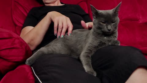 Woman enjoying company of cat
