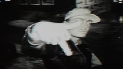 Tommy Rich - MAN MILLION DOLLAR (official Visualizes ♥️