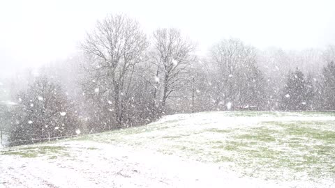 Welcome to Canada to see the snow #02